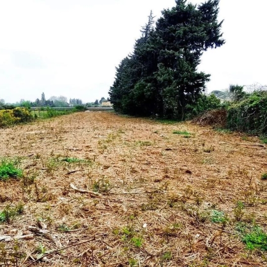  Annonces ISLE SUR SORGUE : Terrain | JONQUERETTES (84450) | 0 m2 | 218 000 &euro; 
