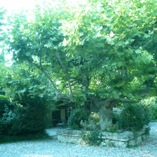  Terre de Provence Immobilier : Domain / Estate | OPPEDE (84580) | 280 m2 | 1 200 000 € 