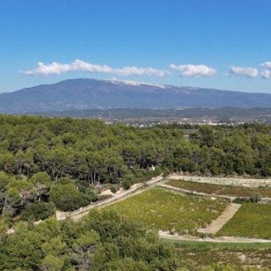 Annonces ISLE SUR SORGUE : Maison / Villa | CARPENTRAS (84200) | 180 m2 | 750 000 &euro; 