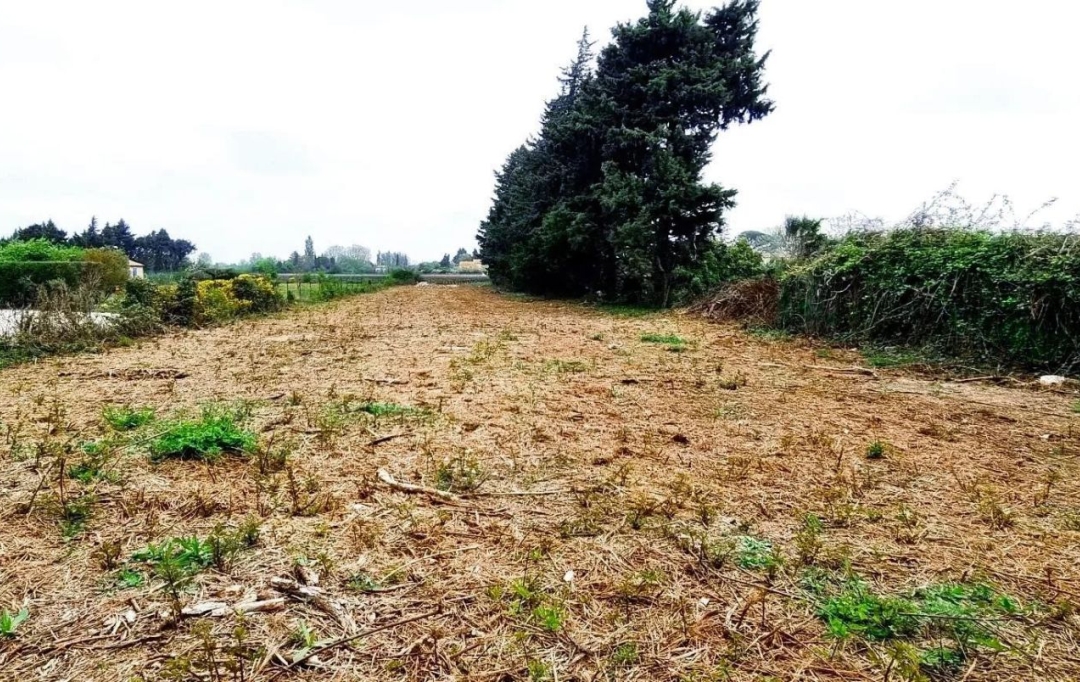 Annonces ISLE SUR SORGUE : Terrain | JONQUERETTES (84450) | 0 m2 | 218 000 &euro; 