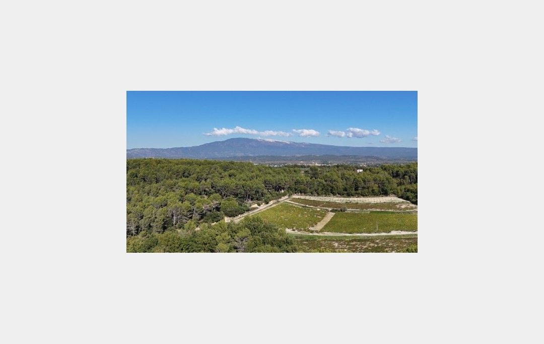 Annonces ISLE SUR SORGUE : Maison / Villa | CARPENTRAS (84200) | 180 m2 | 750 000 &euro; 