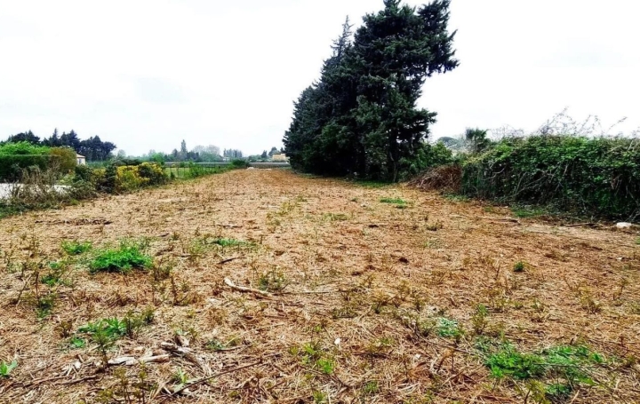  Annonces ISLE SUR SORGUE Terrain | JONQUERETTES (84450) | 0 m2 | 218 000 € 